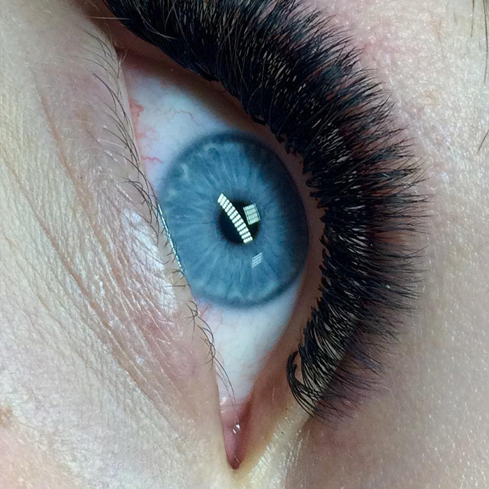 Neue Set Volume Lashes